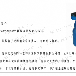 BMH系列交错油口爱游戏在线官网-爱游戏(中国)
马达