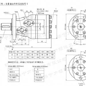BMH系列交错油口爱游戏在线官网-爱游戏(中国)
马达